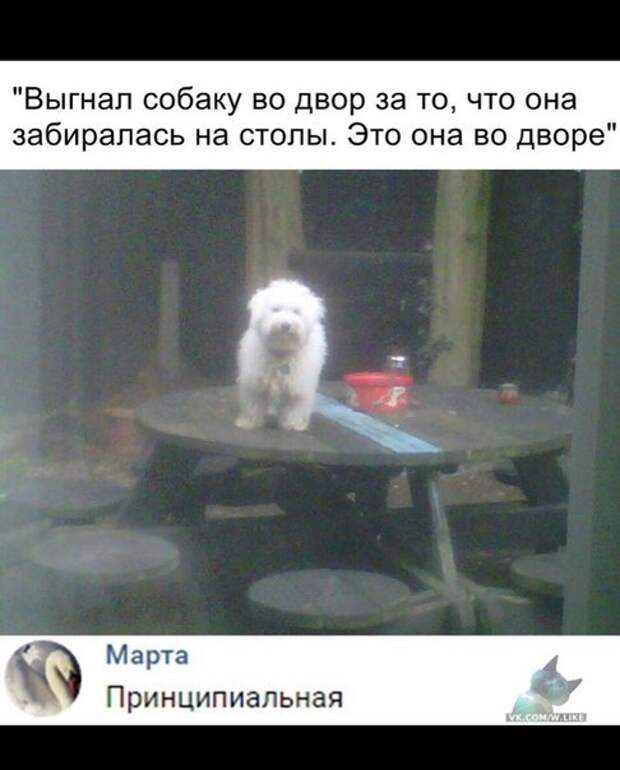 картинки