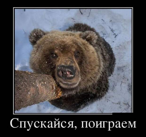 Демотиваторы (30 фото)