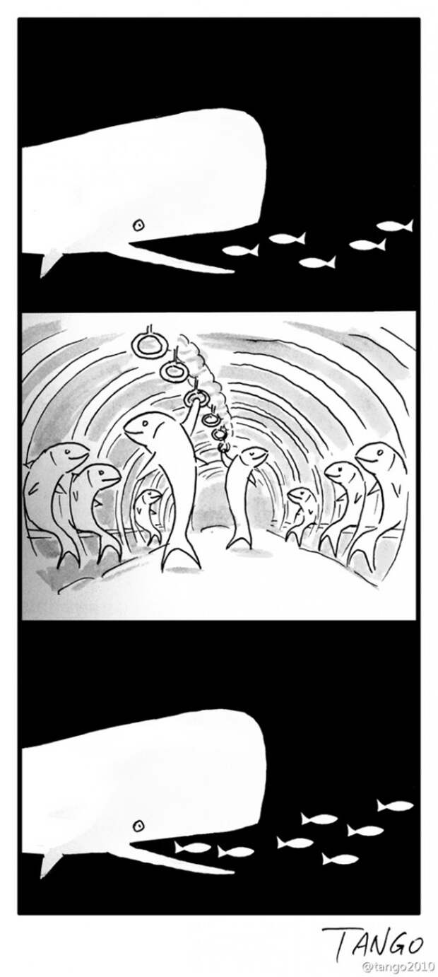 funny-comics-shanghai-tango-38-57b1bd92f3d5e__605