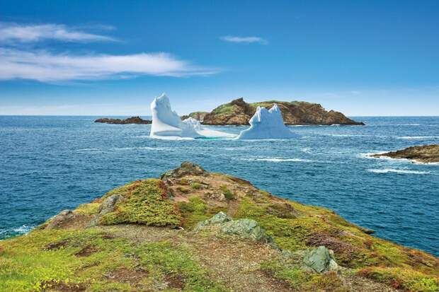 Остров Ньюфаундленд сегодня. 1000 лет назад викинги Лейфа Эриксона назвали его "Виноградной страной"