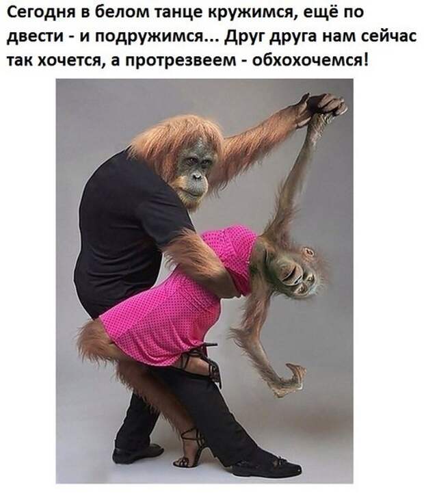 Юмор из интернета 570
