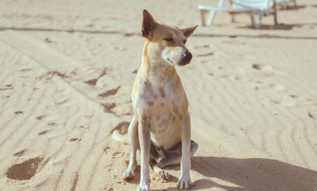 Фото: MESSALA CIULLA/pexels