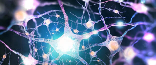 ИИ-модель смогла имитировать поведение нейронов человеческого мозга