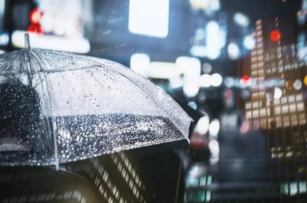 Синоптик Позднякова: в конце недели в Москве пройдет первый в году дождь