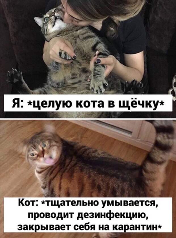 Я и кот ) Я и кот )
