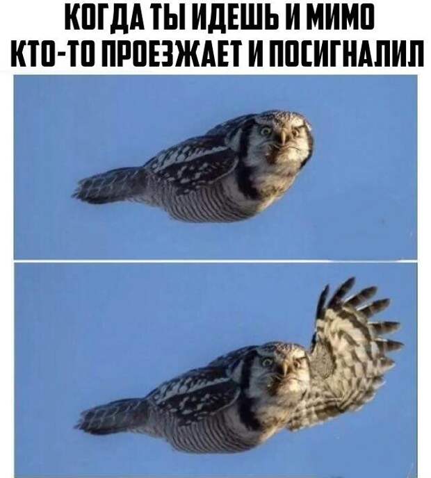 Подборка автоприколов - 74