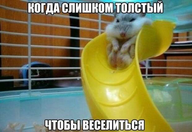 Самый злой пост о тех, кому не хватает мотивации для занятий спортом Самый злой пост о тех, кому не хватает мотивации для занятий спортом