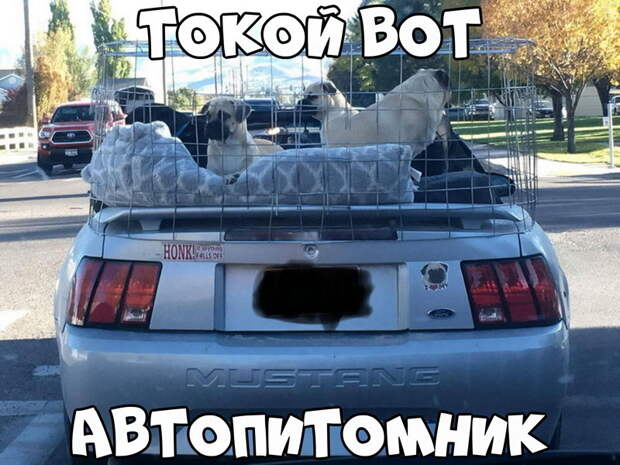 Автовсячина Автовсячина, авто, автомобиль, автоприкол, машина, прикол