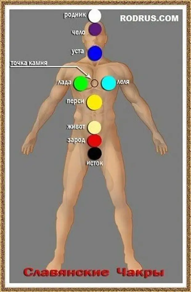 Что значит в теле. Славяна-Арийская система чакр. Чакры человека Славянская система. Чакра Исток у славян. 9 Чакровая система человека.