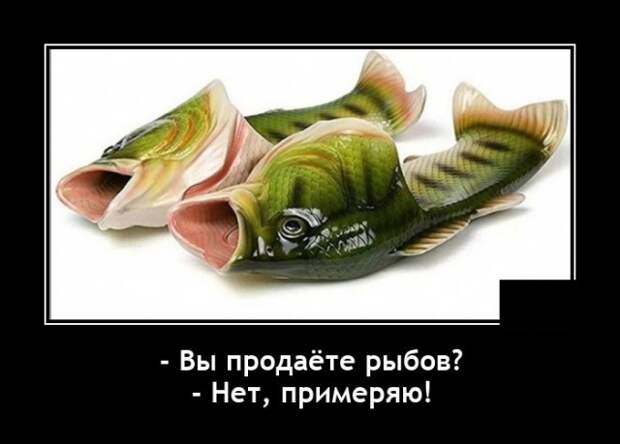 Демотиваторы 27 августа 2021