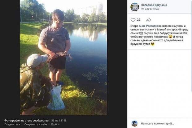 Фото дня: в Малый Ангарский пруд выпустили сома