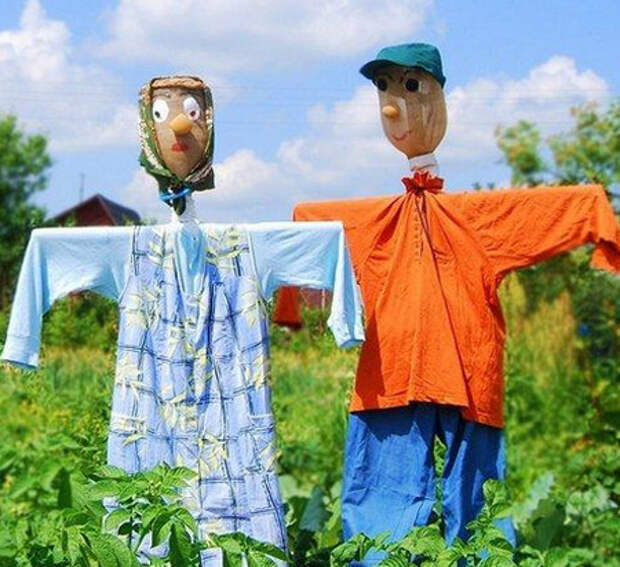 Каждому огороду - свое чучело!