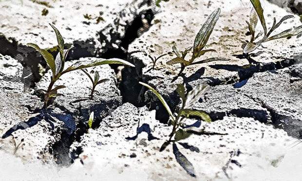 Март-2026 в Орле может стать самым сухим за последние семь лет