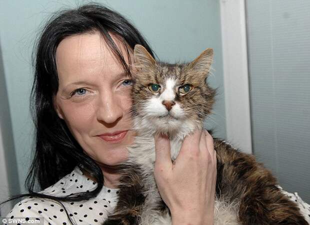 Diane Greig said she cried when she finally got her pet cat Misty back after he disappeared in 2002 and was spotted begging for food at a cafe 25 miles away 14 years later