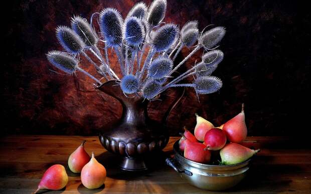 beautiful photo 19