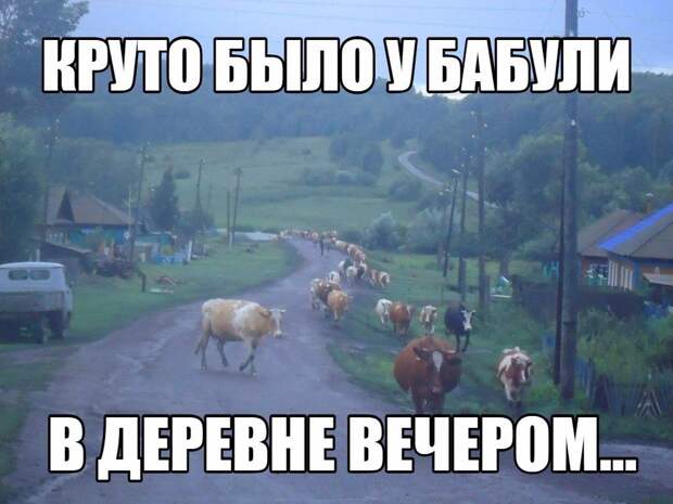 Свежие и веселые картинки с надписями до слез и веселья (11 фото) Свежие и веселые картинки с надписями до слез и веселья (11 фото)