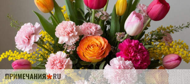 В Крым с начала года поставлено более 370 тысяч цветов