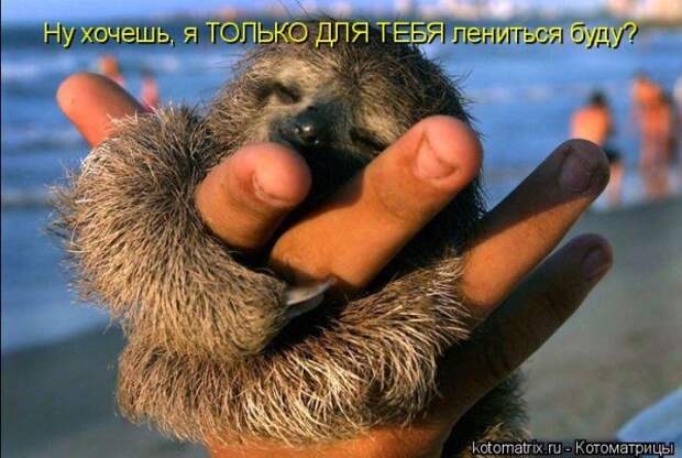 Мысли вслух :)