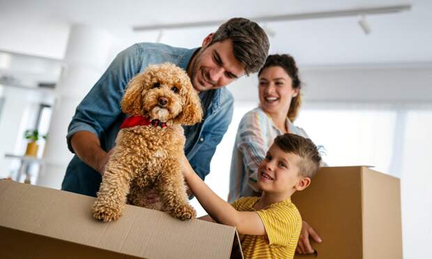 Собаки учат новые слова, подслушивая людей, выяснили в Будапештском университете