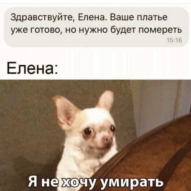 Ошибки и опечатки, которых можно было бы избежать
