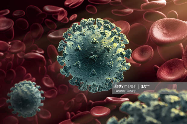 Coronavirus-Blood