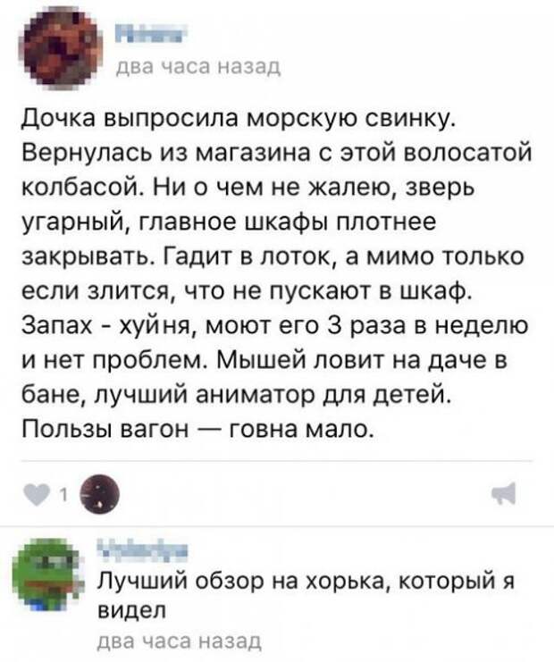 Прикольные комментарии и смс-ки из соцсетей (20 фото)