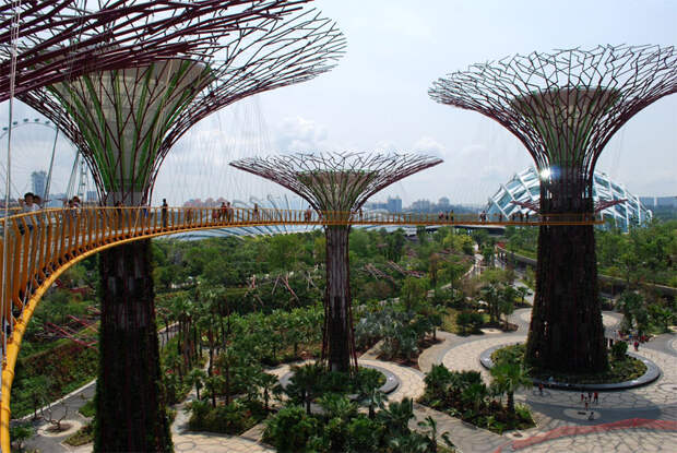 Сады в заливе, Сингапур