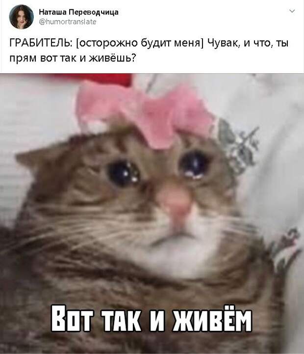 kartinok-prikolnyh-podborka-kartinki-smeshnye-kartinki-fotoprikoly