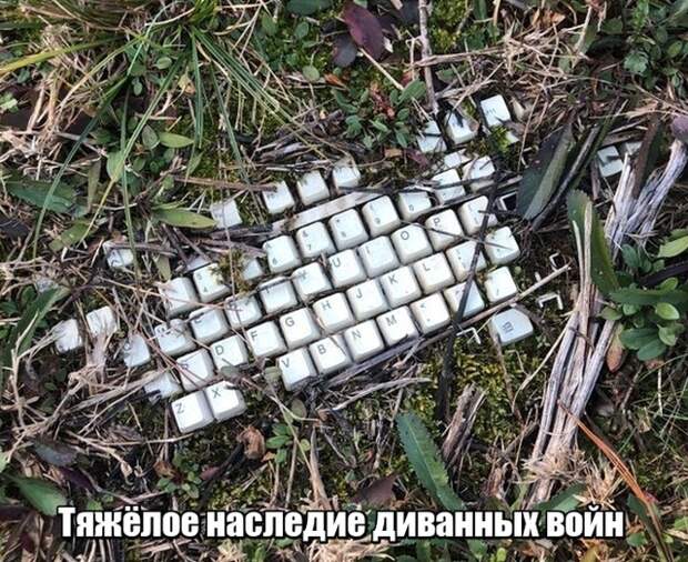 Подборка картинок. Дневной выпуск (20 фото)