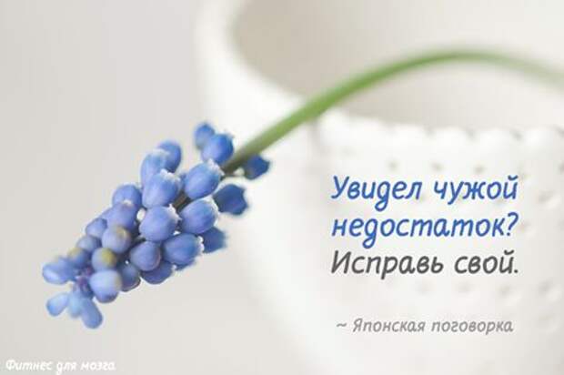 https://s-media-cache-ak0.pinimg.com/564x/65/3c/d6/653cd66977591eac423e5e2305f1665e.jpg
