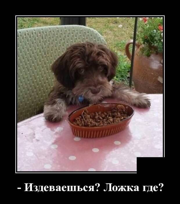 www.vsyako.net