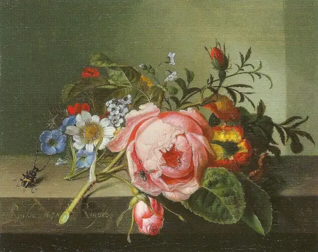  Rachel Ruysch (1664  1750).   