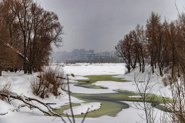 Парк с острогом и электробусами построят на федеральные средства в Новосибирске