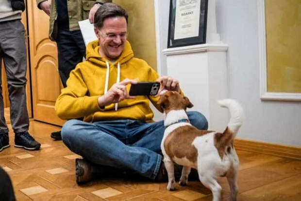 Генсек НАТО Рютте: пес Патрон сказал, что мы никогда не сдадимся