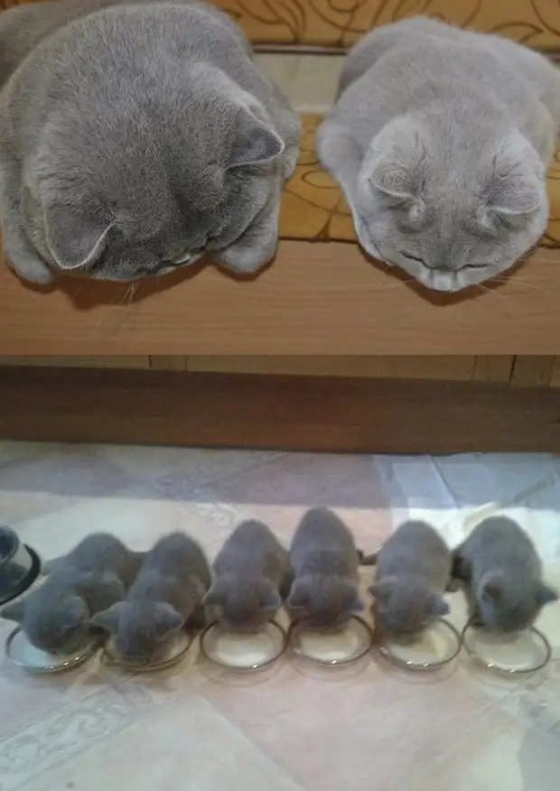 ����������: 50 ��������� ����� � �� �������������� ����-����� �42 - BigPicture.ru