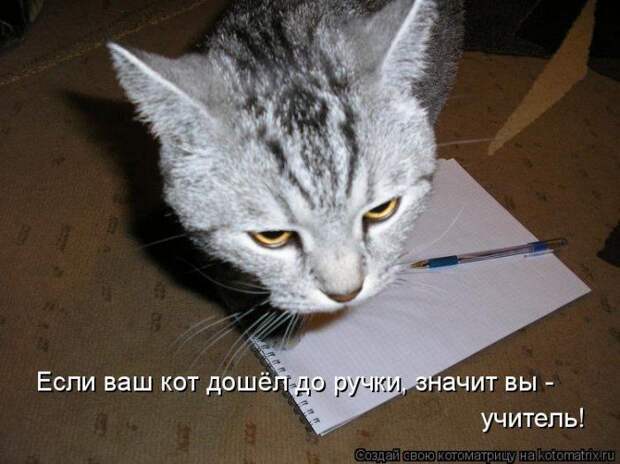 Мысли вслух :)