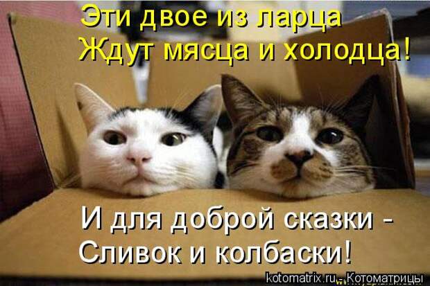 Котоматрица: Эти двое из ларца Ждут мясца и холодца! И для доброй сказки - Сливок и колбаски!
