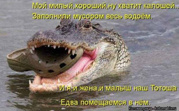 Она приходит... котЭматрикс!