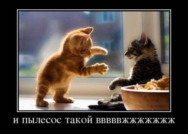 Картинки по запросу веселые демотиваторы
