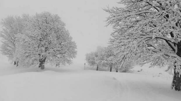 ❄️ Север Италии засыпало снегом. Вот 6 фото и видео