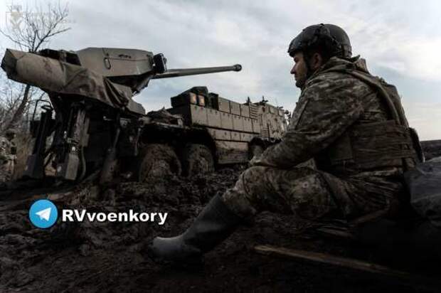 Судьба Донбасса решится в ближайшие часы — Bild | Русская весна