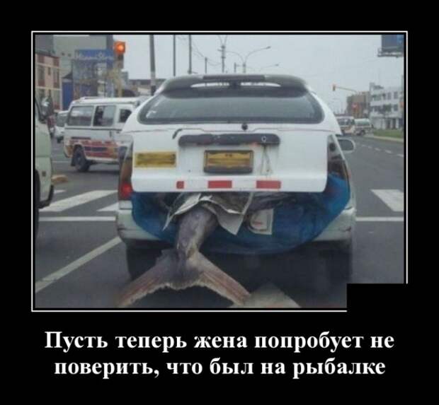 www.vsyako.net