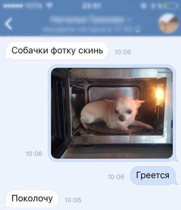 Прикольные картинки. Вечерний выпуск (51 фото)