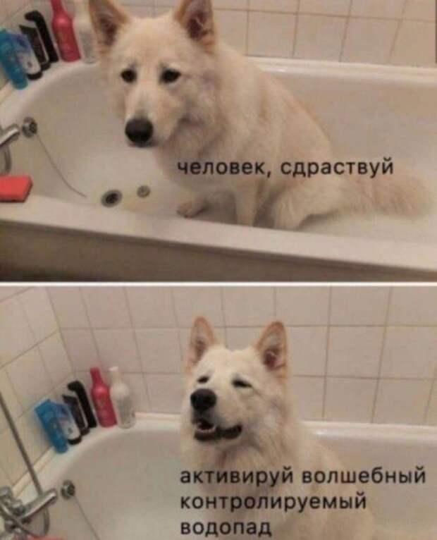 1572379512_kek-27.jpg