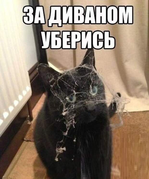Прикольные картинки (45 шт)