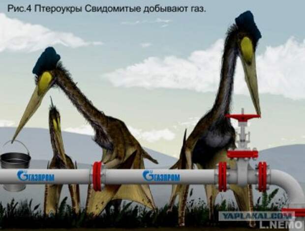 Бандера всему голова?