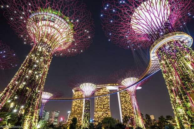 красивые места планеты -сады в Сингапуре