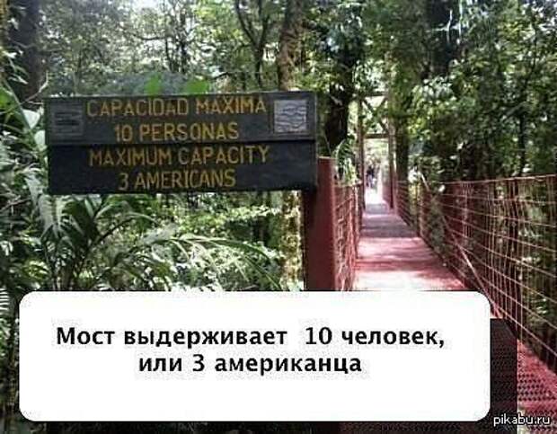 Лучшие приколы дня