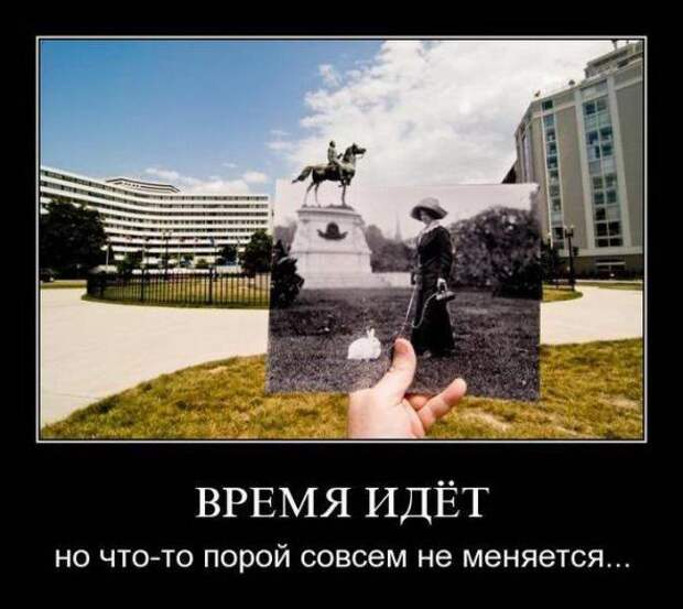 Смешные и забавные демотиваторы 