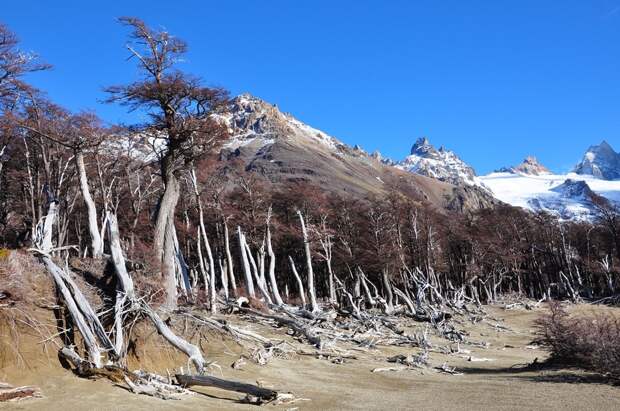 Patagonia36 Patagonia36 Патагония: Прогулка к горе Фицрой
